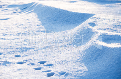 snow background close up