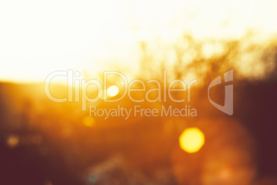 Gold desert in sunset, abstract bright blur background for web d