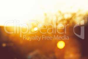 Gold desert in sunset, abstract bright blur background for web d