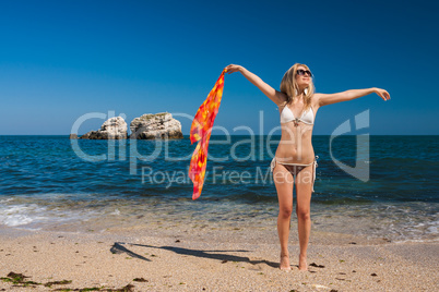 Attractive and sexy blonde girl on the beach