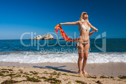 Attractive and sexy blonde girl on the beach