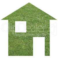 Grass house