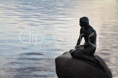 Kleine Meerjungfrau im Morgenlicht im Hafen von Kopenhagen