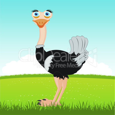 ostrich