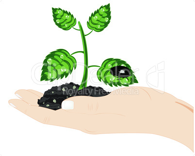 plant in hand.eps