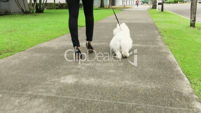 1 Businesswoman Commuting To Office With Her Dog