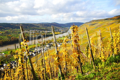 Graach an der Mosel