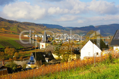 Moseltal mit Reil und Burg