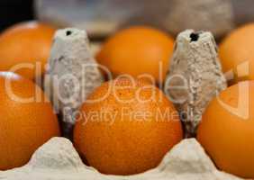 Macro of brown eggs in gray egg carton