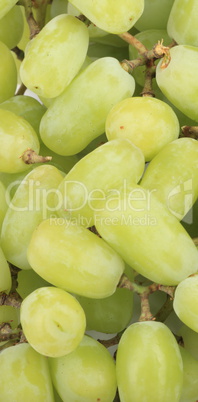 green grapes