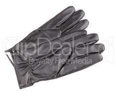 Leather Gloves Isolated