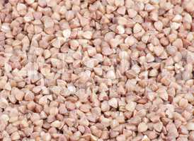 buckwheat background