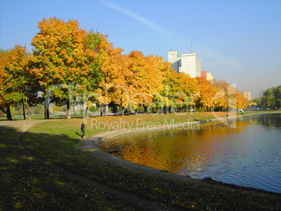 autumn in city park