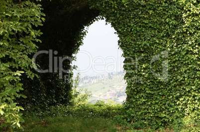 Hecke mit Bogengang