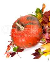 Red ripe pumpkin and multicolor autumn leaves