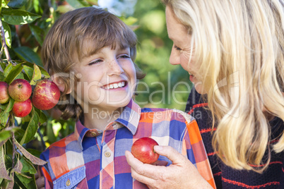 Mother Son Woman Boy Child Picking Eating Apple