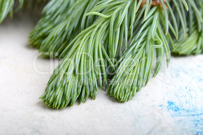 Fir-needle tree branches composition as a background texture