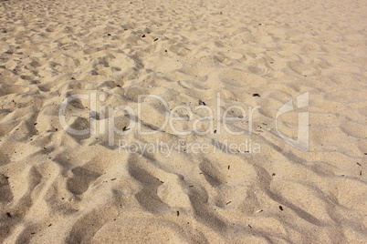 Sandy beach