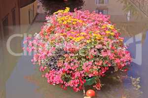 boat with flowers