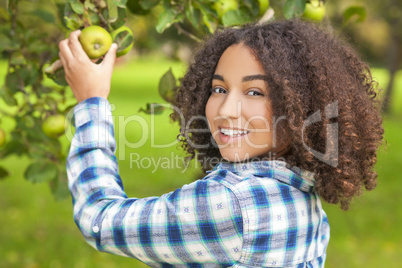 Mixed Race African American Girl Teenager Picking Apple