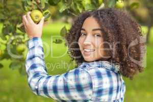 Mixed Race African American Girl Teenager Picking Apple
