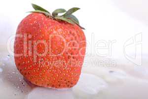 Close up strawberry in a cold ice