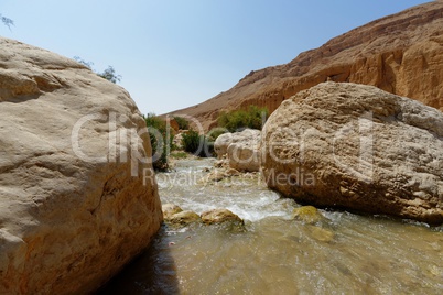 Wadi bin Hammad creek in desert in Jordan