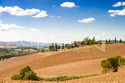 Fields in Tuscany