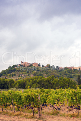 Fields in Tuscany