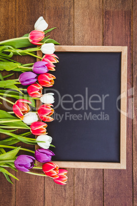 Bouquet of colored flowers against black board