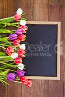 Bouquet of colored flowers against black board