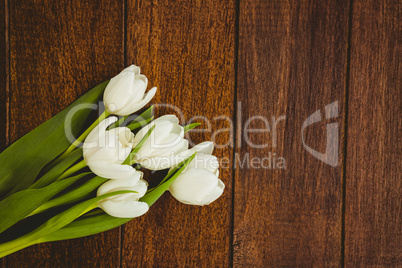 View of a bouquet of white flower