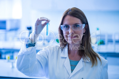 Scientist looking at test tube in the laboratory