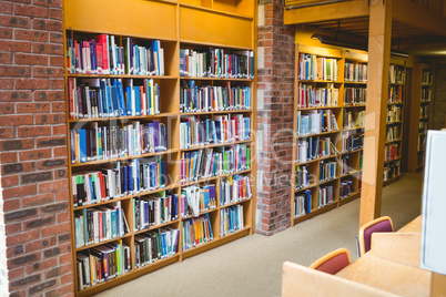 Student reading a book from shelf in library