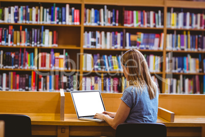 Mature student in the library using laptop