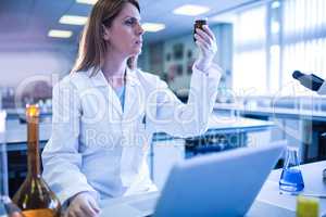 Scientist working with a laptop in laboratory