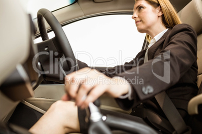 Smiling businesswoman siting in a car