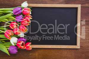 Bouquet of colored flowers against black board