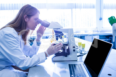 Scientist working with a microscope in laboratory