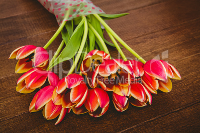 View of a bouquet of red flowers