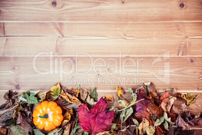 Autumnal leaf pattern on desk