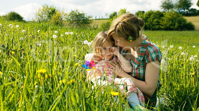 Spring Meadow #3