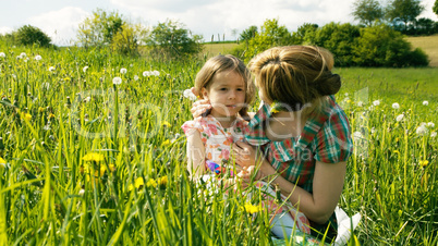 Spring Meadow #1