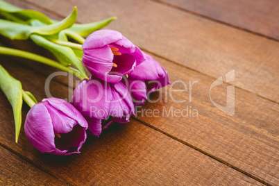 Few beautiful purple flower against wood plank