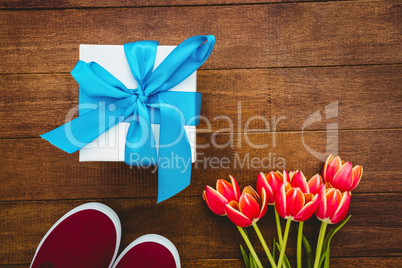 View of red flowers and blue gifts