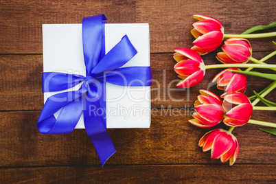 View of red flowers and blue gifts