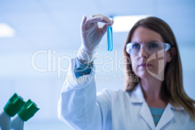 Scientist looking at test tube in the laboratory