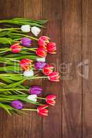 Bouquet of beautiful colored flowers