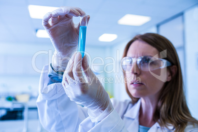 Scientist looking at test tube in the laboratory