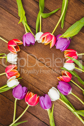 Circle of purple and red flowers